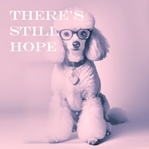 ዾ v[h ] n[g̃y_g NbVJo[ 45×45cm Aj}   NbV{̕t ` t@