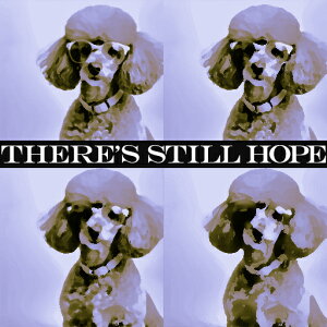 TOX v[h Kl ] t@bV _ NbVJo[ 45×45cm Aj}   NbV{̕t ` t@