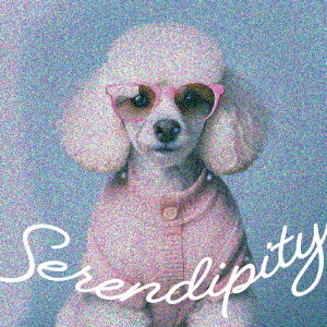 TOX v[h 킢 sN ̕ NbVJo[ 45×45cm Aj}   NbV{̕t ` t@