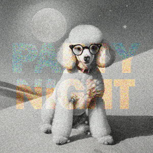 Kl v[h PARTY NIGHT   NbVJo[ 45×45cm Aj}   NbV{̕t ` t@