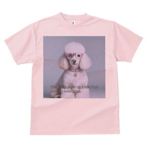 TVc Y LbY t@  t  vg JWA 킢 lԗp tBbglX _X Kl v[h sN̎ n[g̃lbNX