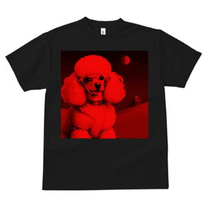 TVc Y LbY t@  t  vg JWA 킢 lԗp tBbglX _X  v[h  Kl