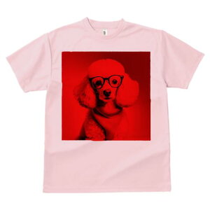 TVc Y LbY t@  t  vg JWA 킢 lԗp tBbglX _X Kl v[h XJ[t Ԃwi