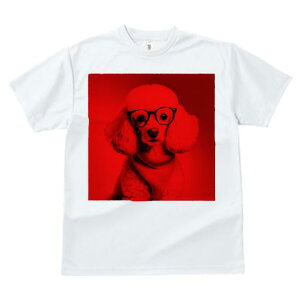 TVc Y LbY t@  t  vg JWA 킢 lԗp tBbglX _X Kl v[h XJ[t Ԃwi