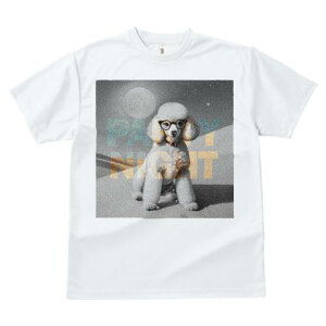 TVc Y LbY t@  t  vg JWA 킢 lԗp tBbglX _X Kl v[h PARTY NIGHT  