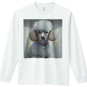 TVc lԗp Y Ht vg W[ AEghA JWA 킢 t@ Kl v[h p[eB[ ANZT[