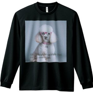 TVc lԗp Y Ht vg W[ AEghA JWA 킢 t@ Kl v[h sN̎ n[g̃lbNX