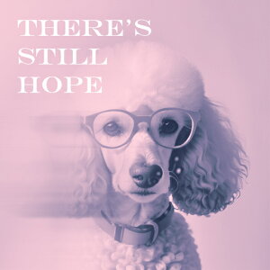 ዾ v[h bZ[W NbVJo[ 45×45cm Aj}   NbV{̕t ` t@