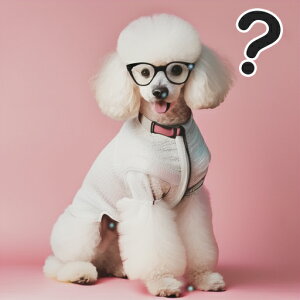 �ዾ �v�[�h�� ���� �s���N�w�i �N�b�V�����J�o�[ 45×45cm �A�j�}���� ������� ���� �N�b�V�����{�̕t�� �����` ���t�@��