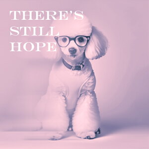 Kl v[h ]  bZ[W sN NbVJo[ 45×45cm Aj}  NbV{̕t ` t@