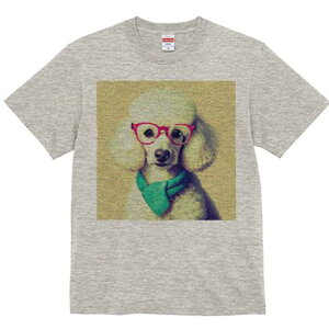 TVc Y LbY t@  t  vg JWA 킢 lԗp tBbglX _X Kl v[h XJ[t