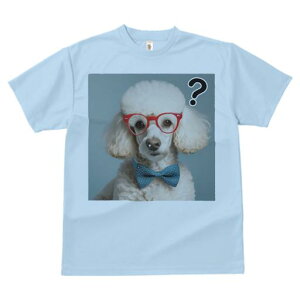 TVc Y LbY t@  t  vg JWA 킢 lԗp tBbglX _X ዾ v[h lN^C nei}[N