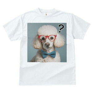 TVc Y LbY t@  t  vg JWA 킢 lԗp tBbglX _X ዾ v[h lN^C nei}[N