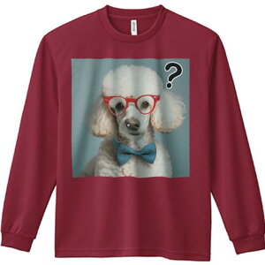 TVc lԗp Y Ht vg W[ AEghA JWA 킢 t@ ዾ v[h lN^C nei}[N