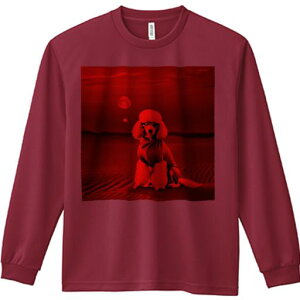 TVc lԗp Y Ht vg W[ AEghA JWA 킢 t@  v[h  Kl ԐF