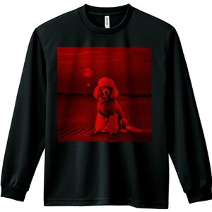 TVc lԗp Y Ht vg W[ AEghA JWA 킢 t@  v[h  Kl ԐF