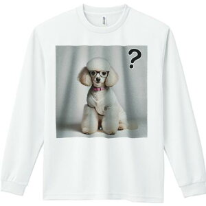 TVc lԗp Y Ht vg W[ AEghA JWA 킢 t@ ዾ v[h Z[^[ wi NGX`}[N t@bV