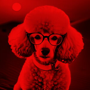 Kl v[h  NbVJo[ 45×45cm Aj}   NbV{̕t ` t@