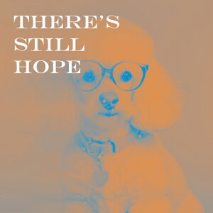 ዾ v[h  n[g^̃y_g NbVJo[ 45×45cm Aj}   NbV{̕t ` t@