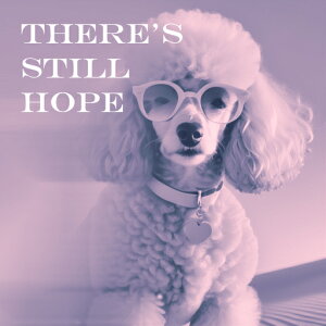 Kl v[h n[g̃y_g eLXg NbVJo[ 45×45cm Aj}   NbV{̕t ` t@