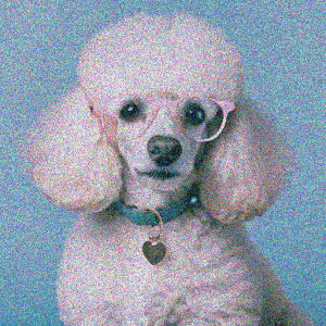 ዾ v[h wi n[g̃lbNX NbVJo[ 45×45cm Aj}   NbV{̕t ` t@