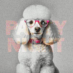 Kl v[h  NbVJo[ 45×45cm Aj}   NbV{̕t ` t@