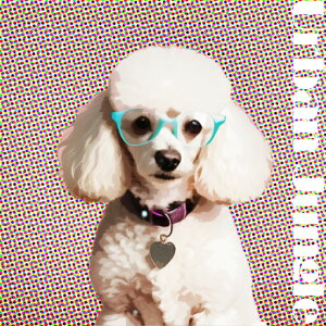 Kl v[h hbg ̎ n[g̃^O NbVJo[ 45×45cm Aj}   NbV{̕t ` t@