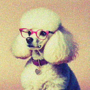 Kl v[h  n[g̃^O NbVJo[ 45×45cm Aj}   NbV{̕t ` t@