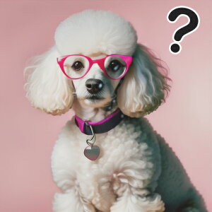 Kl v[h sN̔wi n[g^̃^O ?}[N NbVJo[ 45×45cm Aj}   NbV{̕t ` t@