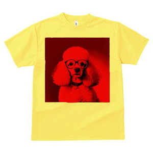 TVc Y LbY t@  t  vg JWA 킢 lԗp tBbglX _X Kl v[h ԐF  n[g̎