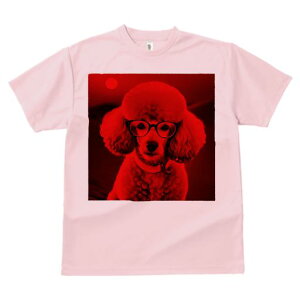 TVc Y LbY t@  t  vg JWA 킢 lԗp tBbglX _X Kl v[h 