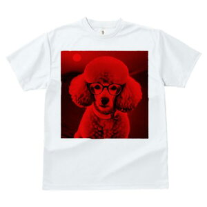 TVc Y LbY t@  t  vg JWA 킢 lԗp tBbglX _X Kl v[h 