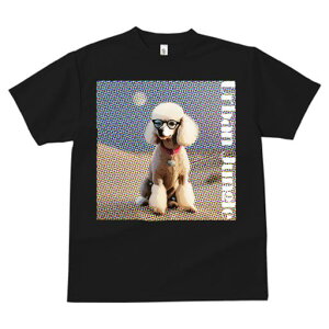 TVc Y LbY t@  t  vg JWA 킢 lԗp tBbglX _X Kl v[h n[g^̎ hȔwi IV