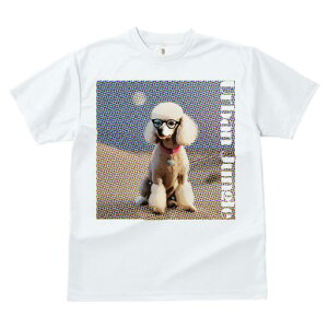 TVc Y LbY t@  t  vg JWA 킢 lԗp tBbglX _X Kl v[h n[g^̎ hȔwi IV