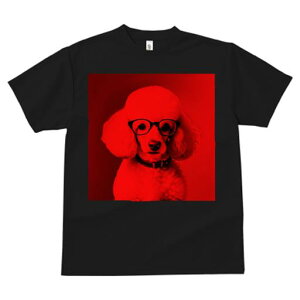 TVc Y LbY t@  t  vg JWA 킢 lԗp tBbglX _X Kl v[h Ԃwi  t@bV