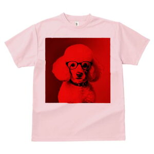 TVc Y LbY t@  t  vg JWA 킢 lԗp tBbglX _X Kl v[h Ԃwi  t@bV