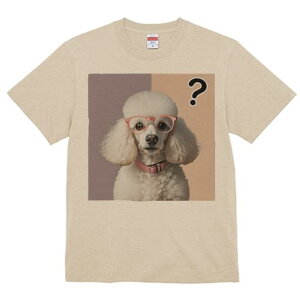 TVc Y LbY t@  t  vg JWA 킢 lԗp tBbglX _X Kl v[h NGX`}[N sN̔wi