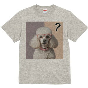 T�V���c �����Y �L�b�Y ���t�@�� ���� �t�� ���� �v�����g �J�W���A�� ���킢�� �l�ԗp �t�B�b�g�l�X �_���X ���K�l �v�[�h�� �N�G�X�`�����}�[�N �s���N�̔w�i