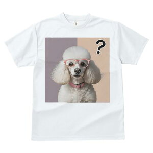 TVc Y LbY t@  t  vg JWA 킢 lԗp tBbglX _X Kl v[h NGX`}[N sN̔wi