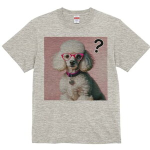 TVc Y LbY t@  t  vg JWA 킢 lԗp tBbglX _X Kl v[h sN̔wi n[g^̃^O ?}[N