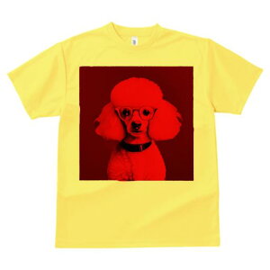 TVc Y LbY t@  t  vg JWA 킢 lԗp tBbglX _X  v[h Kl A[g X^CbV 