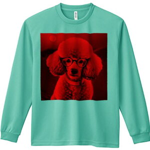 TVc lԗp Y Ht vg W[ AEghA JWA 킢 t@ Kl v[h 