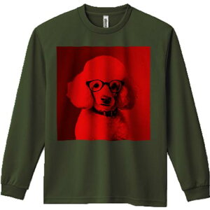 TVc lԗp Y Ht vg W[ AEghA JWA 킢 t@ Kl v[h Ԃwi  t@bV