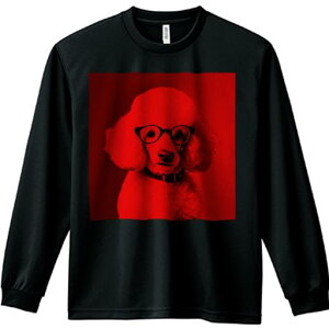 TVc lԗp Y Ht vg W[ AEghA JWA 킢 t@ Kl v[h Ԃwi  t@bV