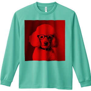 TVc lԗp Y Ht vg W[ AEghA JWA 킢 t@ Kl v[h Ԃwi  t@bV