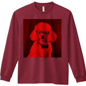 TVc lԗp Y Ht vg W[ AEghA JWA 킢 t@ Kl v[h lN^C