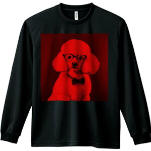 TVc lԗp Y Ht vg W[ AEghA JWA 킢 t@ Kl v[h lN^C