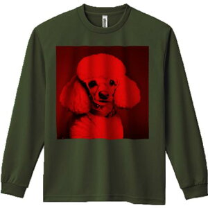 TVc lԗp Y Ht vg W[ AEghA JWA 킢 t@ Kl v[h Ԃ  X^CbV N[