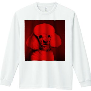 TVc lԗp Y Ht vg W[ AEghA JWA 킢 t@ Kl v[h Ԃ  X^CbV N[