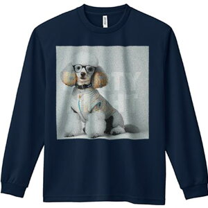 TVc lԗp Y Ht vg W[ AEghA JWA 킢 t@ Kl  